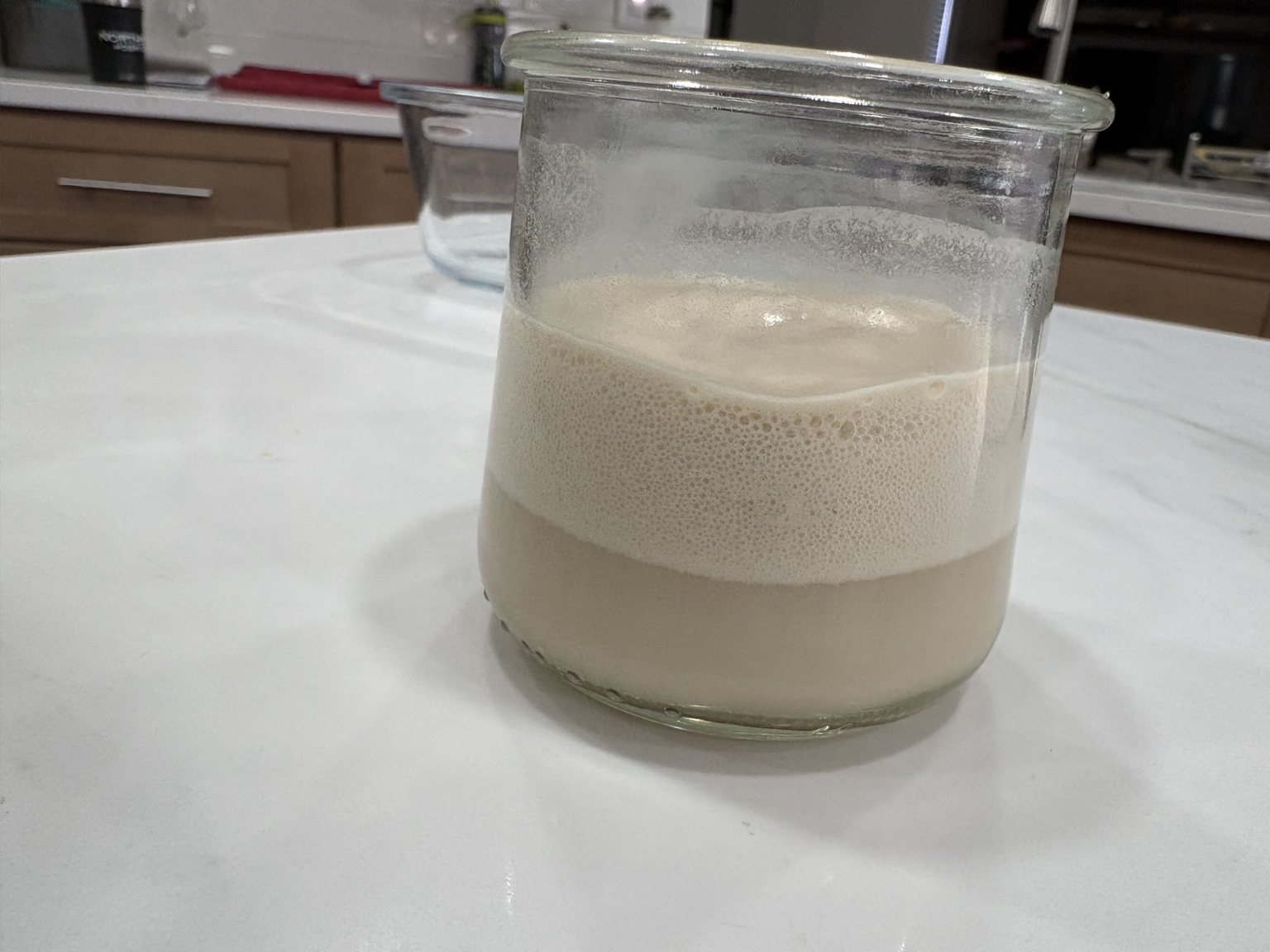 Glass jar of bubbly activated yeast mixture prepared with warm water and sugar