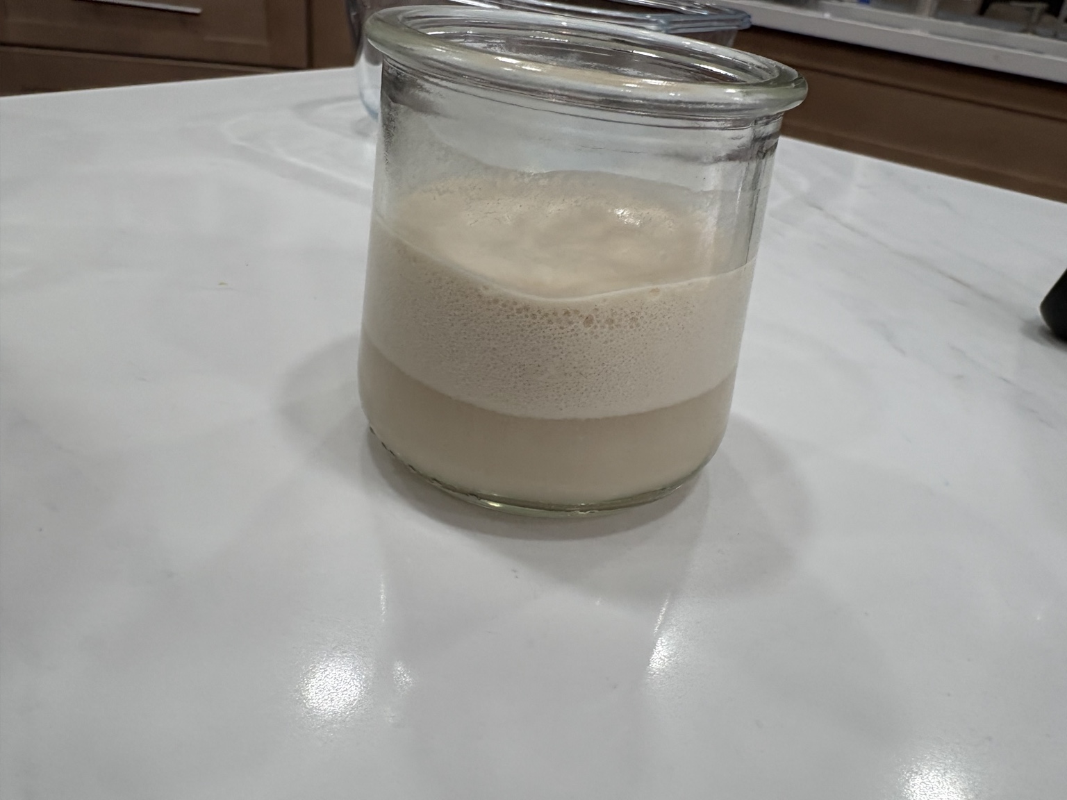 Side view of a glass jar containing foamy activated yeast mixture