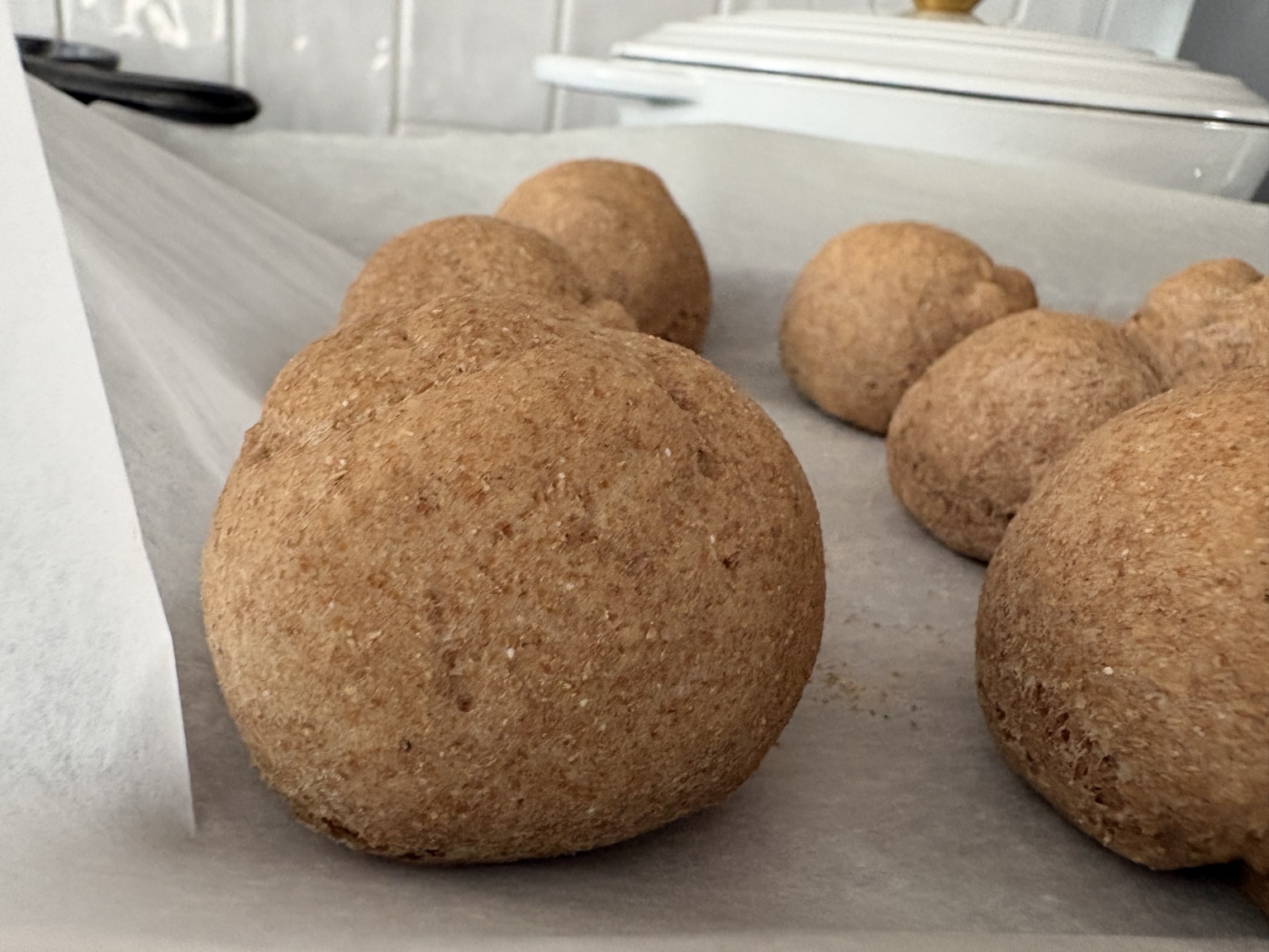 Homemade whole wheat rolls arranged on parchment paper before serving
