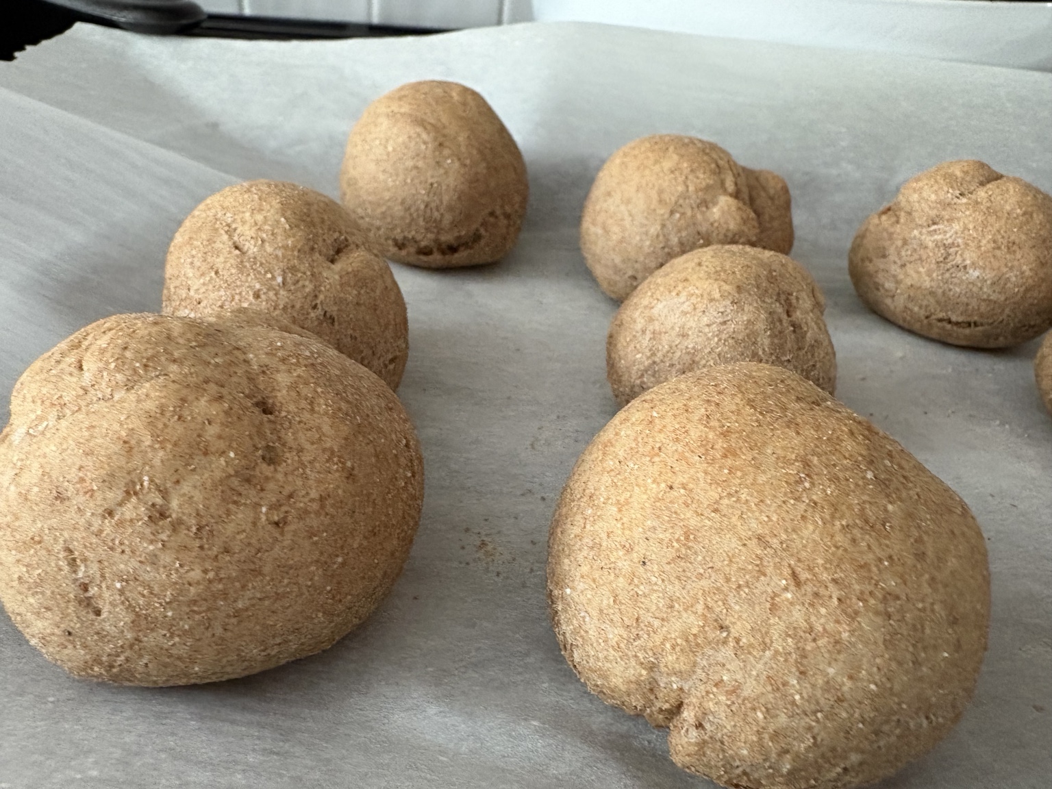 Six whole wheat dough rolls resting on parchment paper on a baking sheet